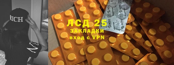 стаф Медногорск