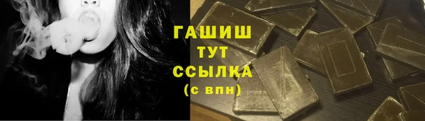 стаф Медногорск