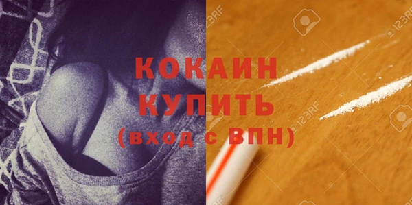 стаф Медногорск