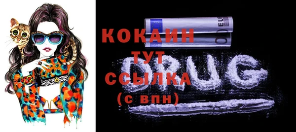 крисы Медвежьегорск